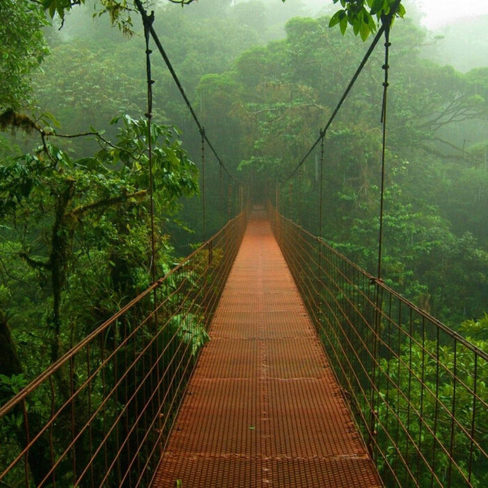 costa-rica-tirimbina-rainforest-qpb3svndk3xkuxvr