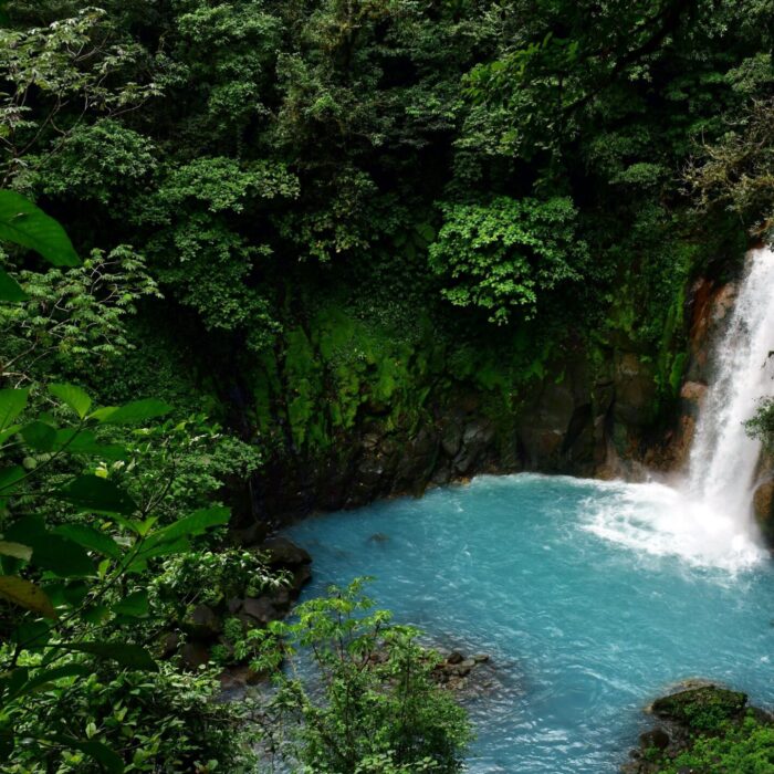 waterfall_lagoon_trees_jungle_forest_green_leaves_landscape_4k_hd_nature-3840x2160